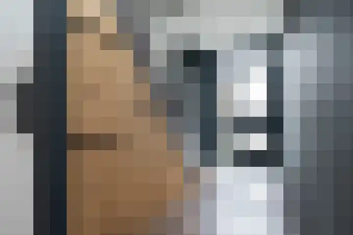 Rembrandtlaan 120 Middelharnis thumbnail 6