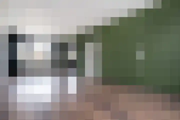 Rembrandtlaan 120 Middelharnis thumbnail 8