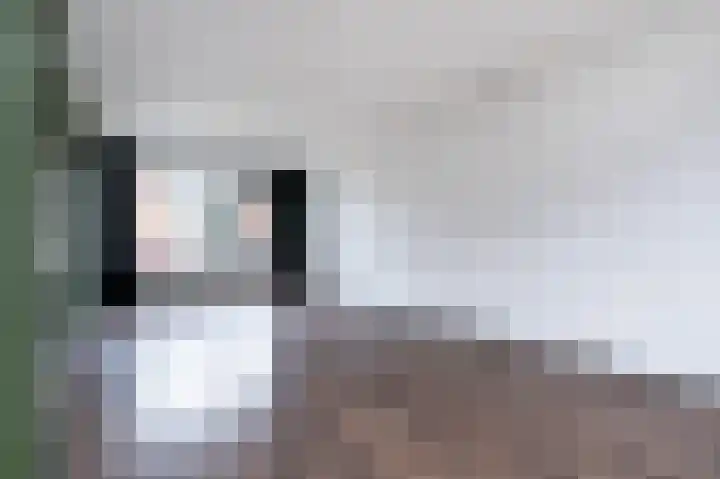 Rembrandtlaan 120 Middelharnis thumbnail 9