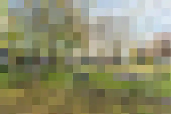 Rembrandtlaan 13 Best thumbnail 38