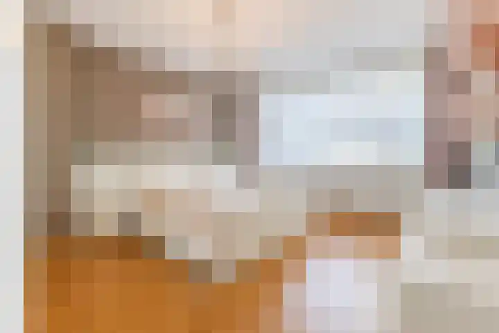 Rembrandtlaan 13 Best thumbnail 5