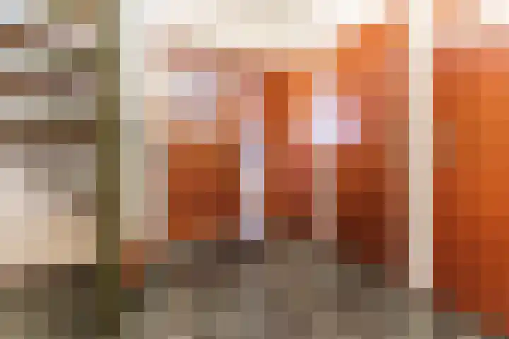 Rembrandtlaan 13 Best thumbnail 7