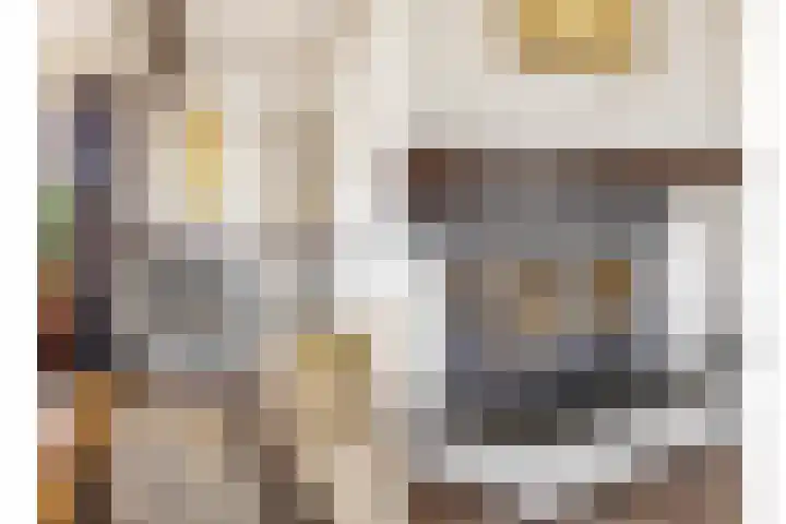 Rembrandtlaan 13 Veghel thumbnail 13
