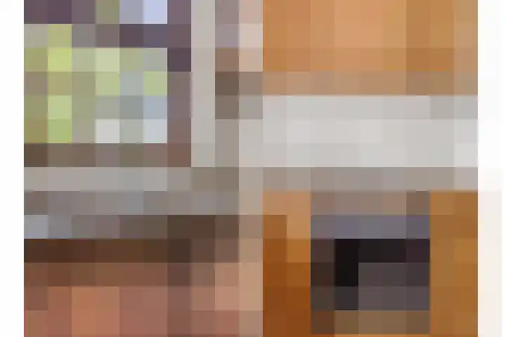 Rembrandtlaan 13 Veghel thumbnail 16