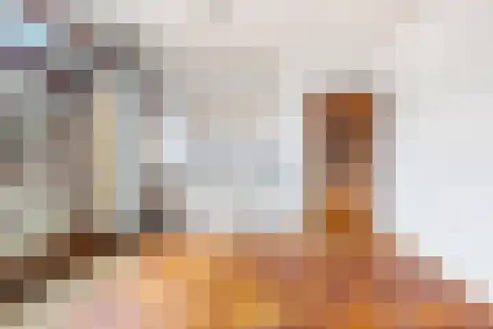 Rembrandtlaan 13 Veghel thumbnail 17