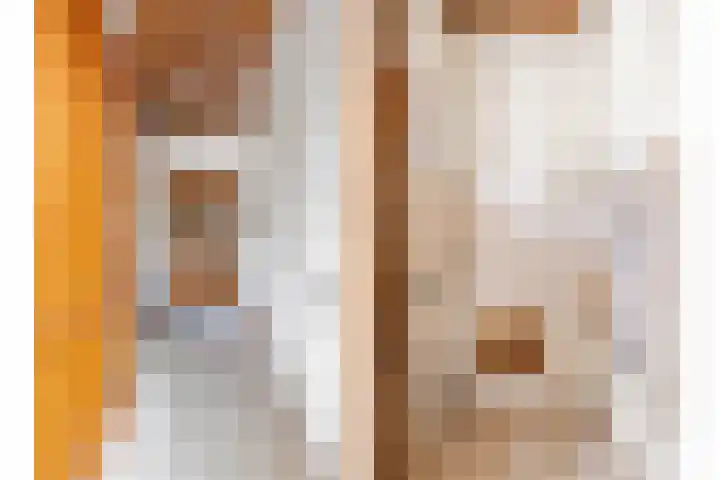 Rembrandtlaan 13 Veghel thumbnail 18