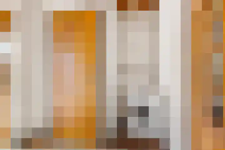 Rembrandtlaan 13 Veghel thumbnail 19