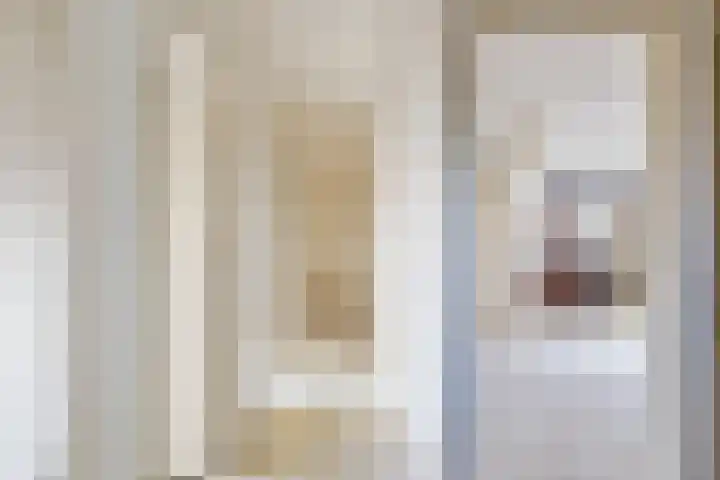 Rembrandtlaan 13 Veghel thumbnail 22
