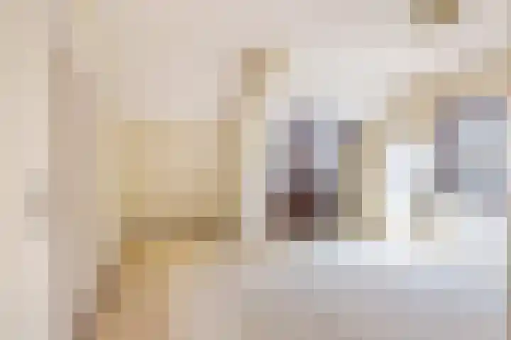 Rembrandtlaan 13 Veghel thumbnail 23