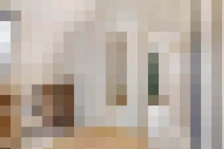 Rembrandtlaan 13 Veghel thumbnail 25