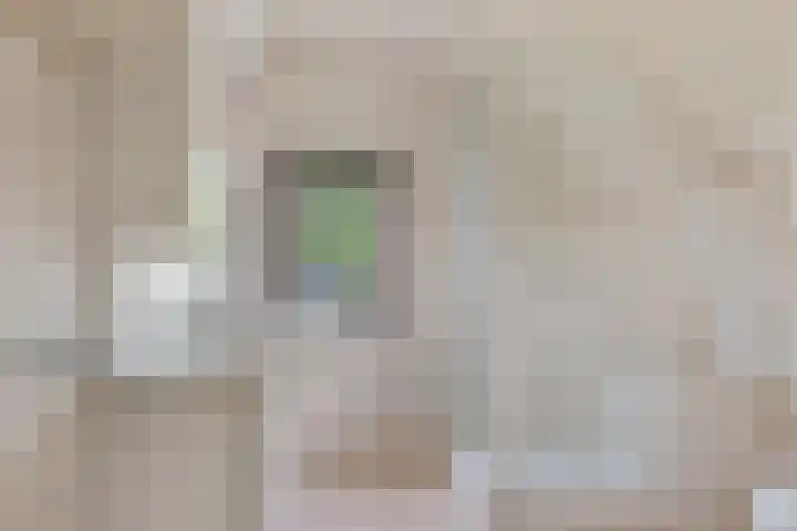 Rembrandtlaan 13 Veghel thumbnail 29