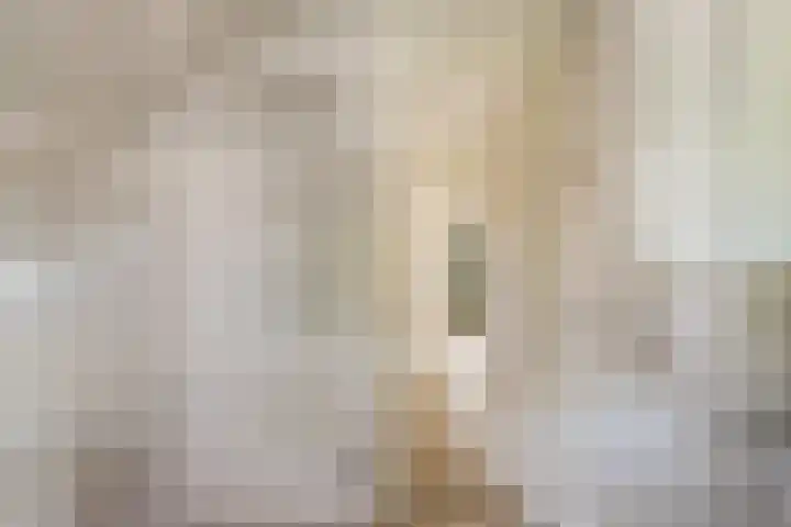 Rembrandtlaan 13 Veghel thumbnail 31