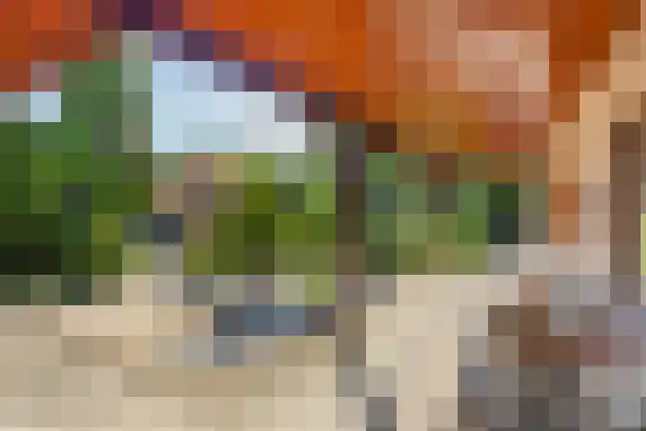 Rembrandtlaan 13 Veghel thumbnail 33