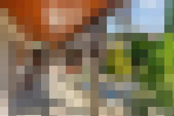 Rembrandtlaan 13 Veghel thumbnail 34
