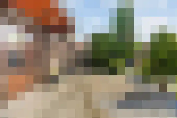 Rembrandtlaan 13 Veghel thumbnail 35