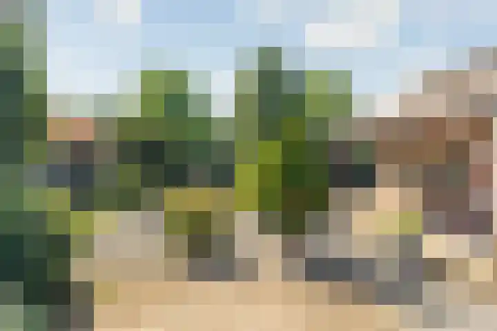 Rembrandtlaan 13 Veghel thumbnail 36