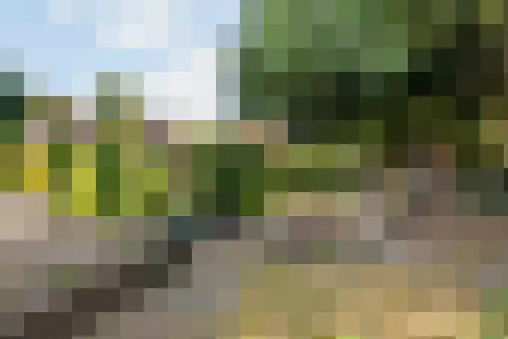 Rembrandtlaan 13 Veghel thumbnail 38