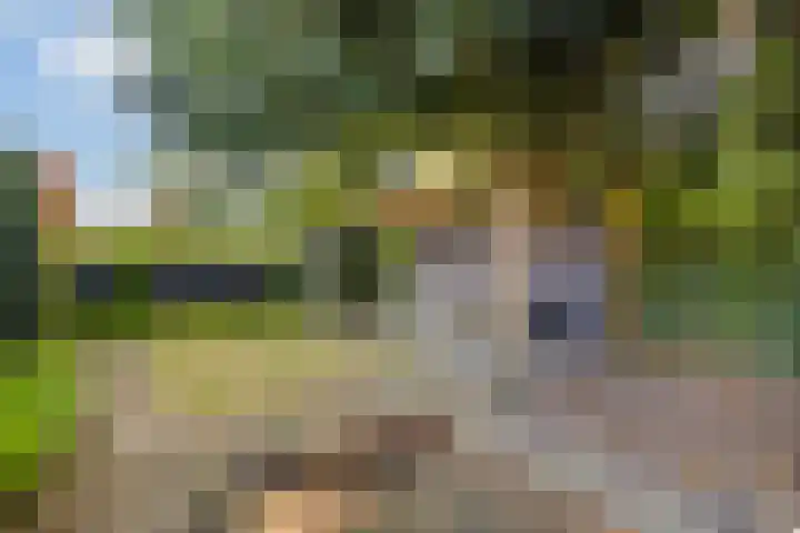 Rembrandtlaan 13 Veghel thumbnail 39