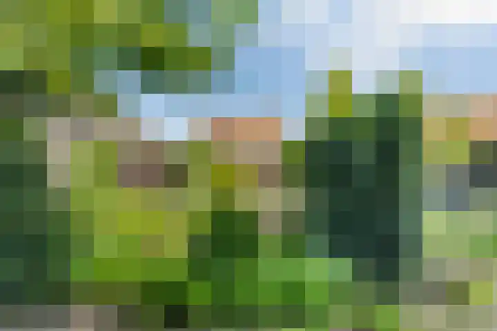 Rembrandtlaan 13 Veghel thumbnail 40