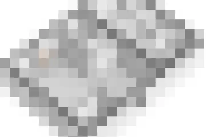 Rembrandtlaan 13 Veghel thumbnail 48