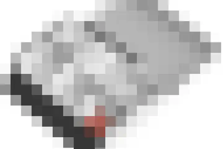 Rembrandtlaan 13 Veghel thumbnail 49