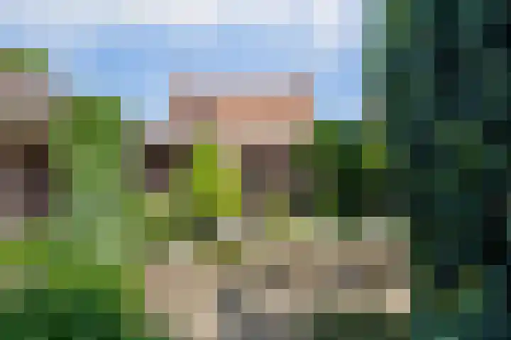 Rembrandtlaan 13 Veghel thumbnail 5
