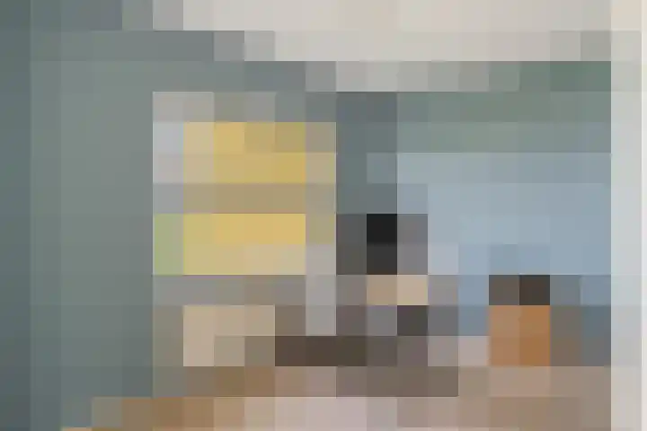 Rembrandtlaan 131 Schiedam thumbnail 20