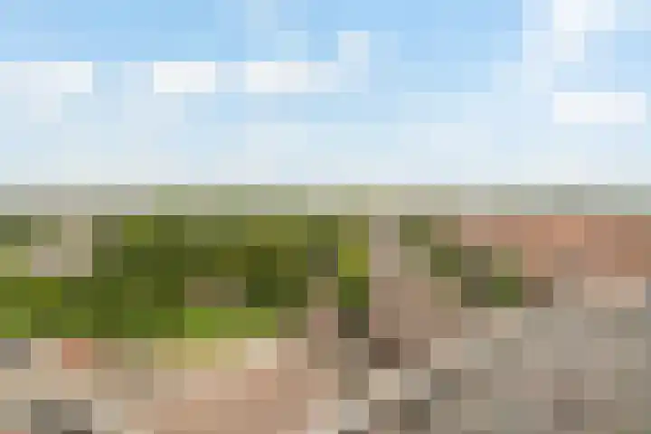 Rembrandtlaan 131 Schiedam thumbnail 21