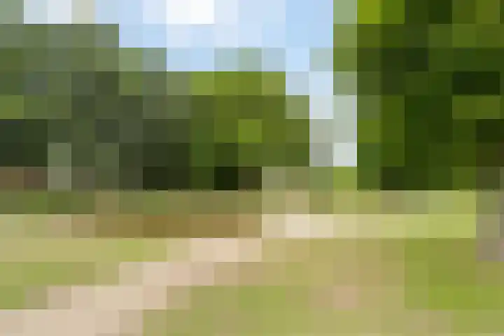 Rembrandtlaan 131 Schiedam thumbnail 30