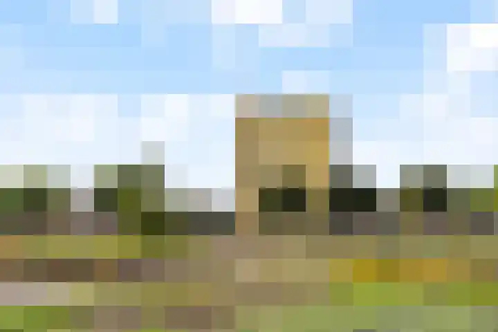 Rembrandtlaan 131 Schiedam thumbnail 32