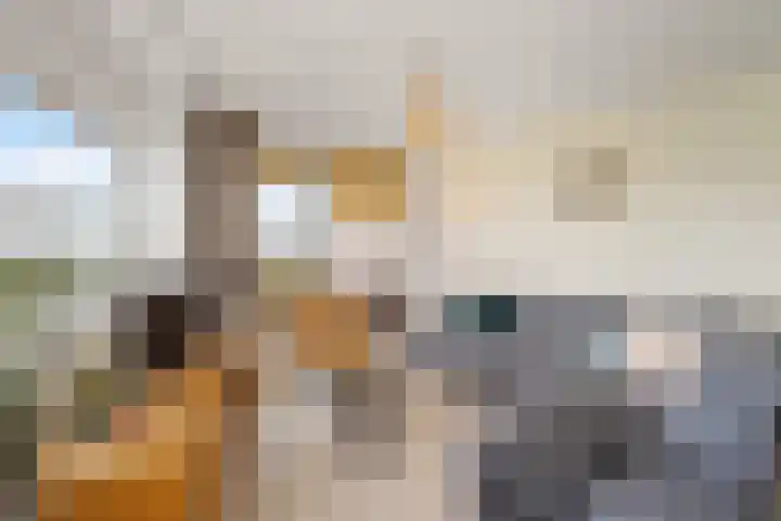 Rembrandtlaan 131 Schiedam thumbnail 6
