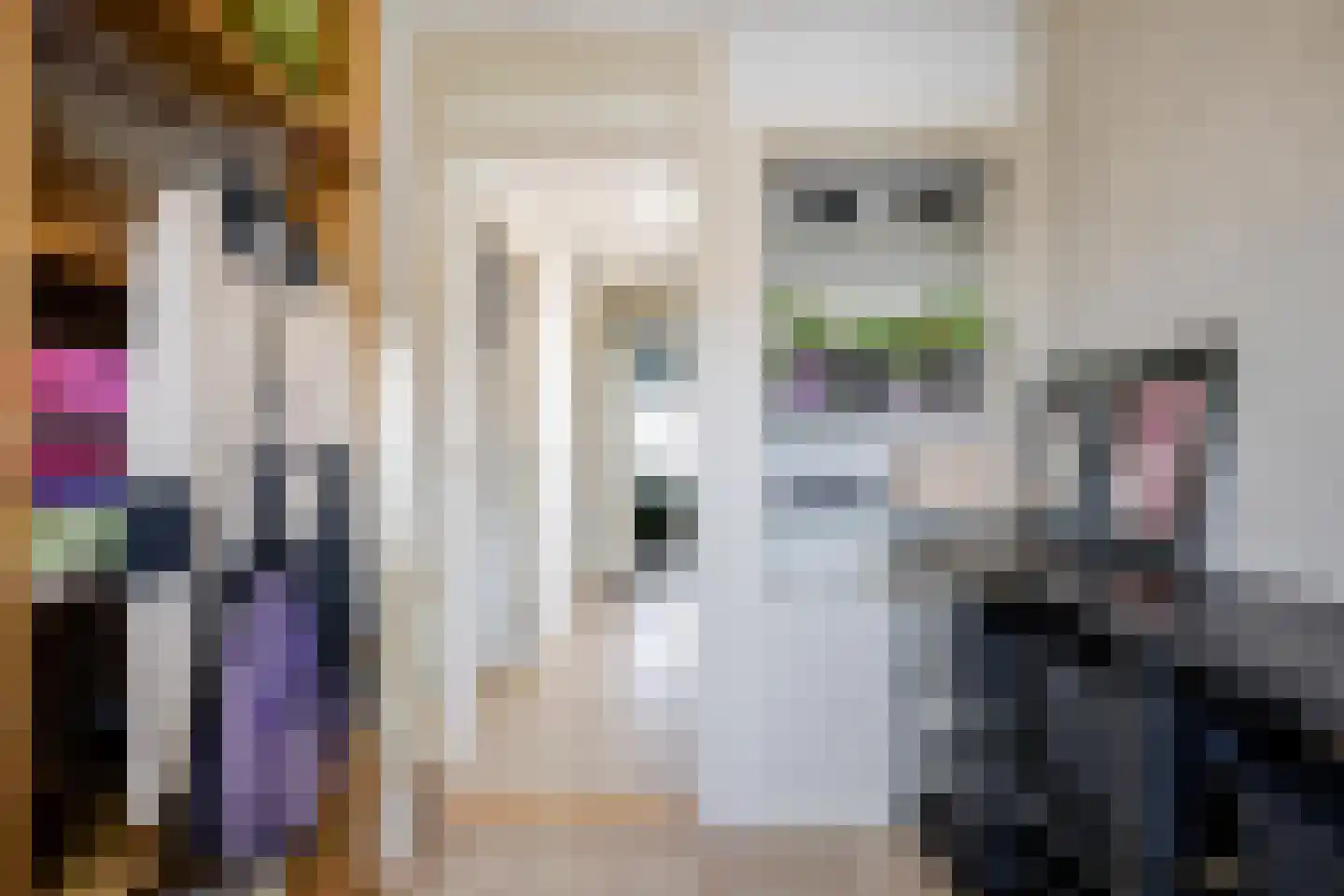 Rembrandtlaan 14 A Schiedam thumbnail 26