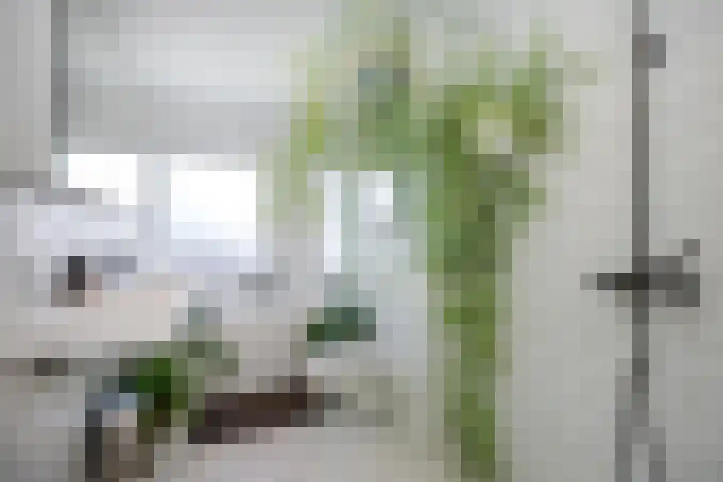 Rembrandtlaan 14 A Schiedam thumbnail 28