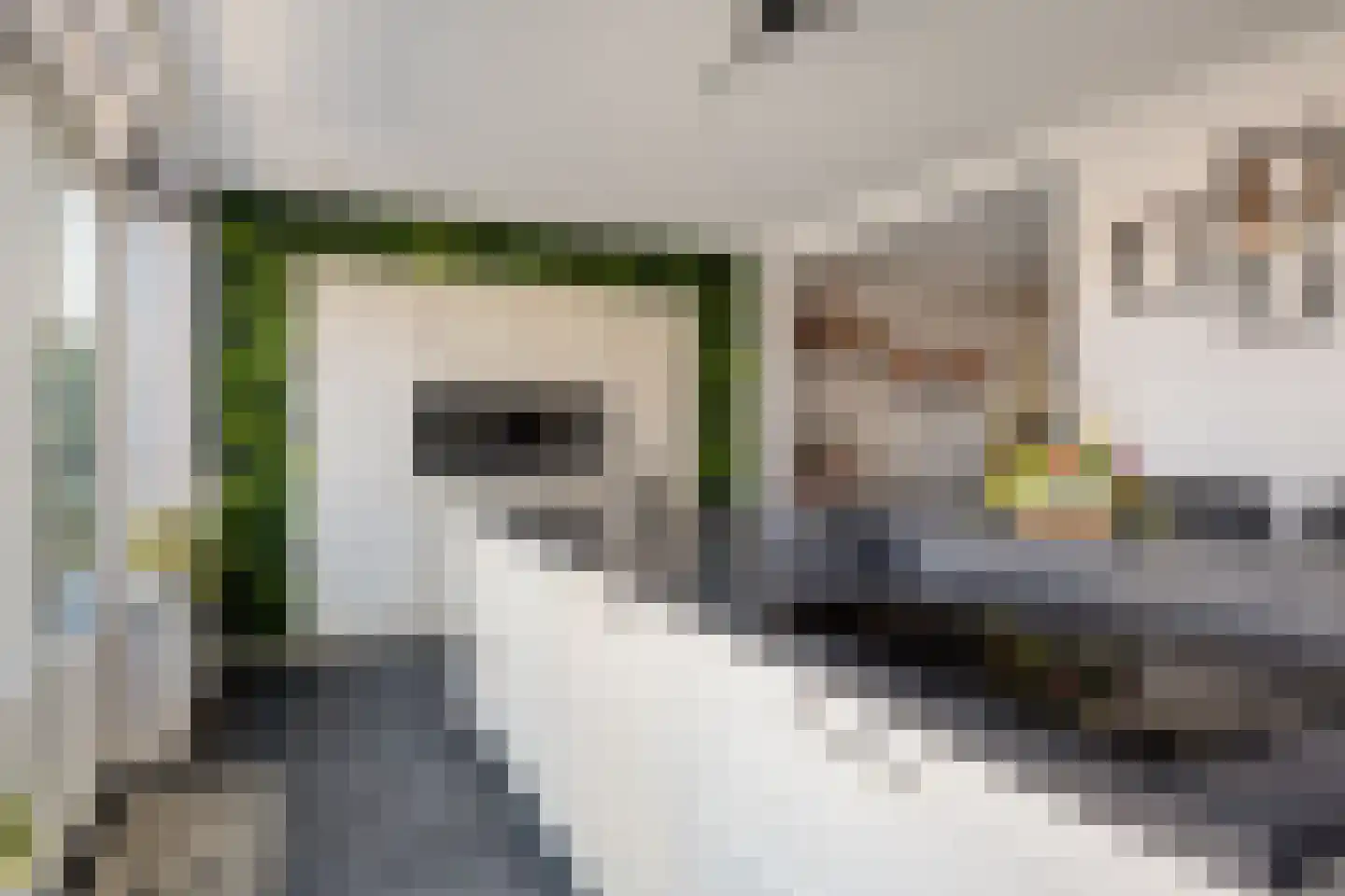 Rembrandtlaan 14 Anna Paulowna thumbnail 21