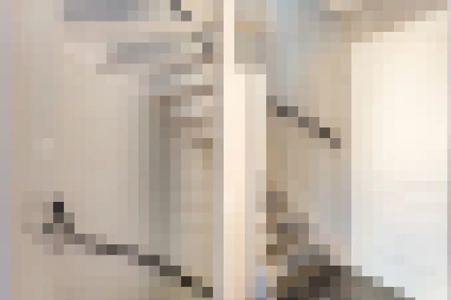 Rembrandtlaan 14 Anna Paulowna thumbnail 25