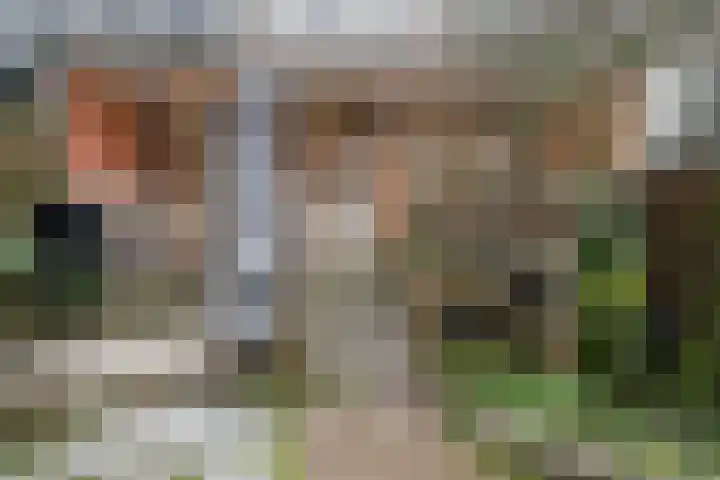 Rembrandtlaan 14 B Schiedam thumbnail 39