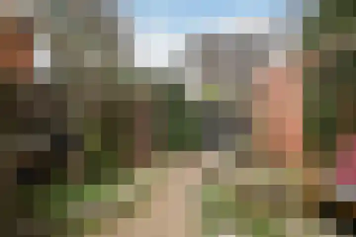 Rembrandtlaan 14 B Schiedam thumbnail 40