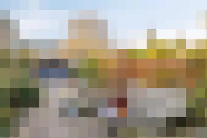 Rembrandtlaan 14 Bleiswijk thumbnail 11