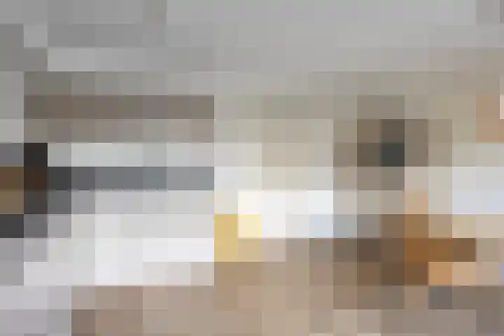 Rembrandtlaan 14 Bleiswijk thumbnail 15