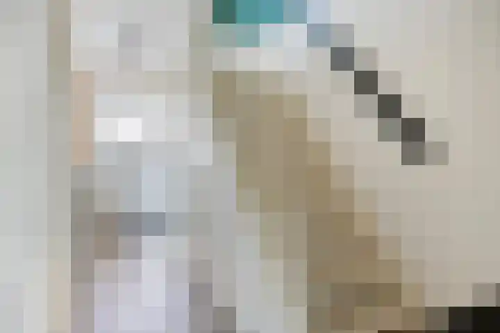 Rembrandtlaan 14 Bleiswijk thumbnail 16