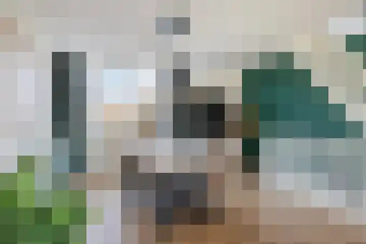 Rembrandtlaan 14 Bleiswijk thumbnail 19