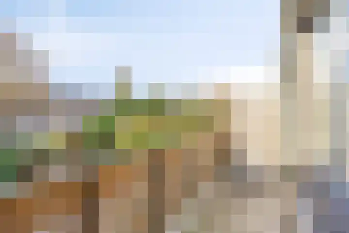 Rembrandtlaan 14 Bleiswijk thumbnail 25