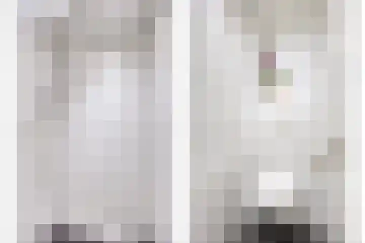 Rembrandtlaan 14 Bleiswijk thumbnail 30