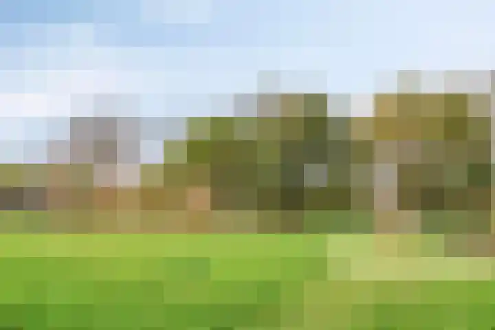Rembrandtlaan 14 Bleiswijk thumbnail 36