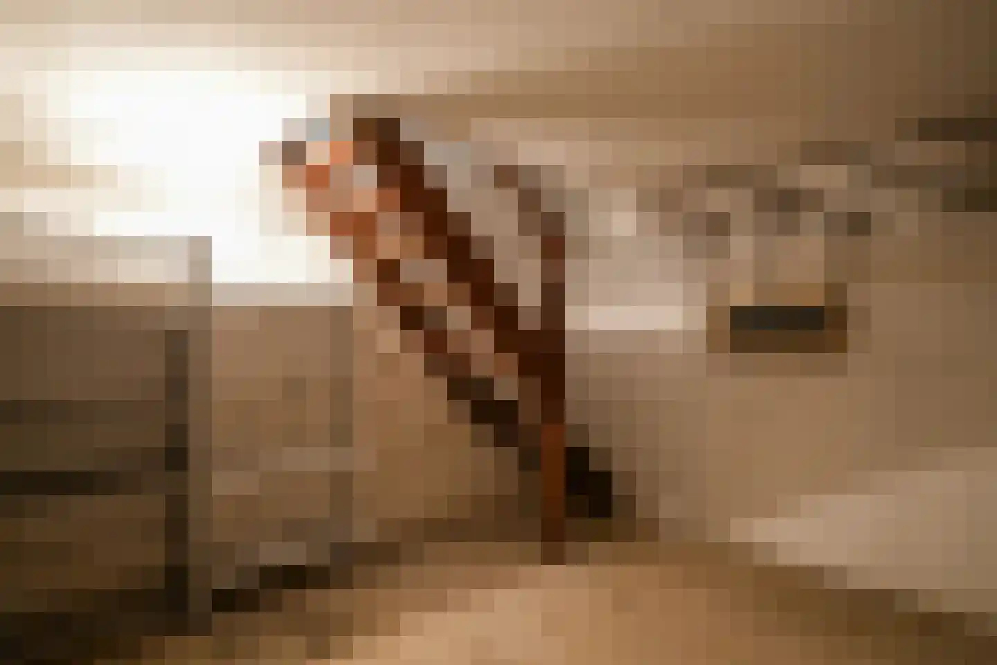 Rembrandtlaan 14 Geleen thumbnail 11
