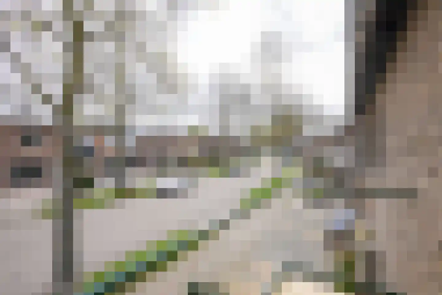 Rembrandtlaan 14 Geleen thumbnail 18