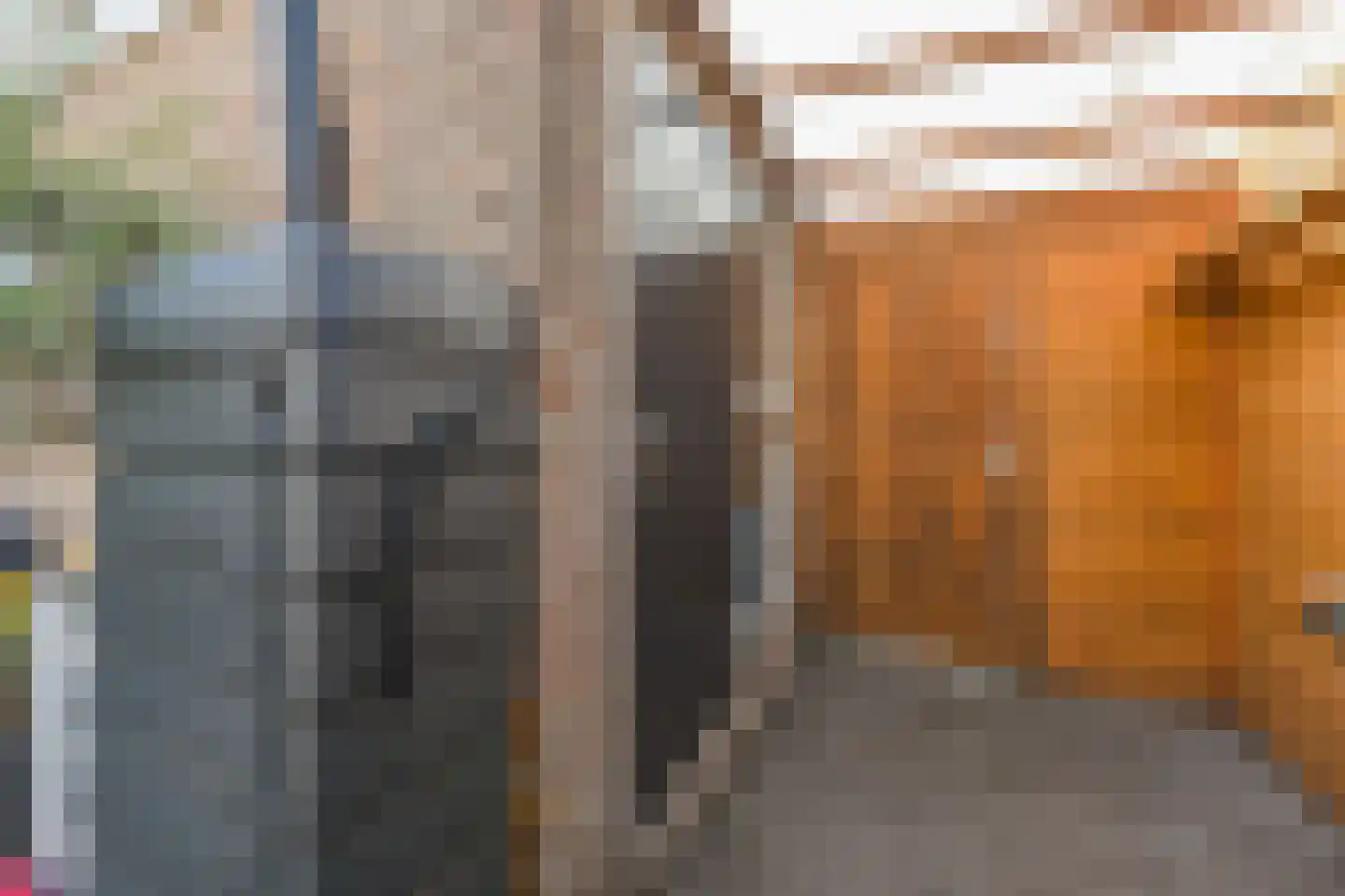 Rembrandtlaan 14 Voorschoten thumbnail 32