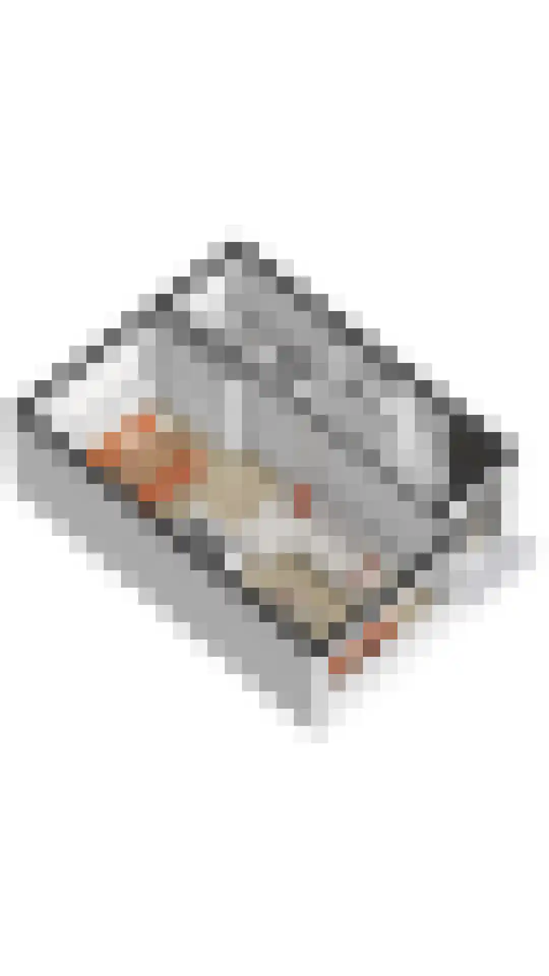 Rembrandtlaan 14 Voorschoten thumbnail 34