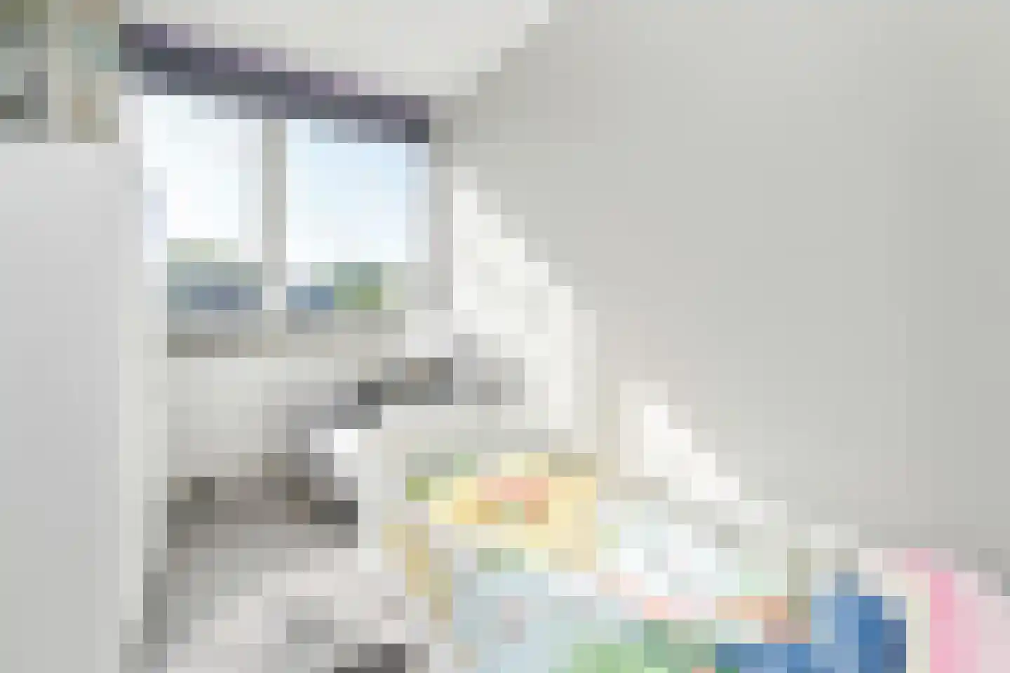 Rembrandtlaan 14 Voorschoten thumbnail 40