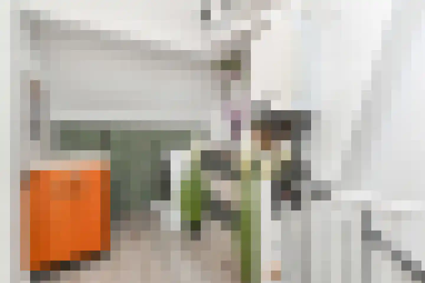 Rembrandtlaan 14 Voorschoten thumbnail 49